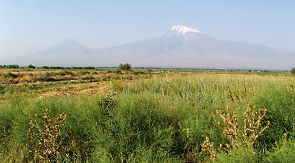 La plaine de l'Ararat