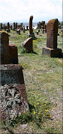 Au milieu du cimetière...