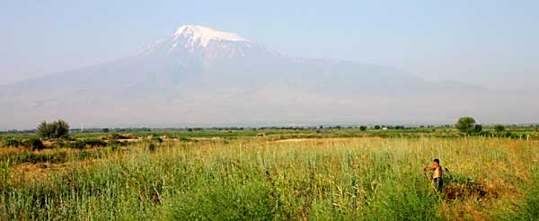 La plaine de l'Ararat et le mont La plaine de l'Ararat et le mont